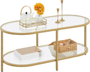 Modern Oval Glass Coffee Table 2-Tier Storage Metal Frame 106x50x44cm