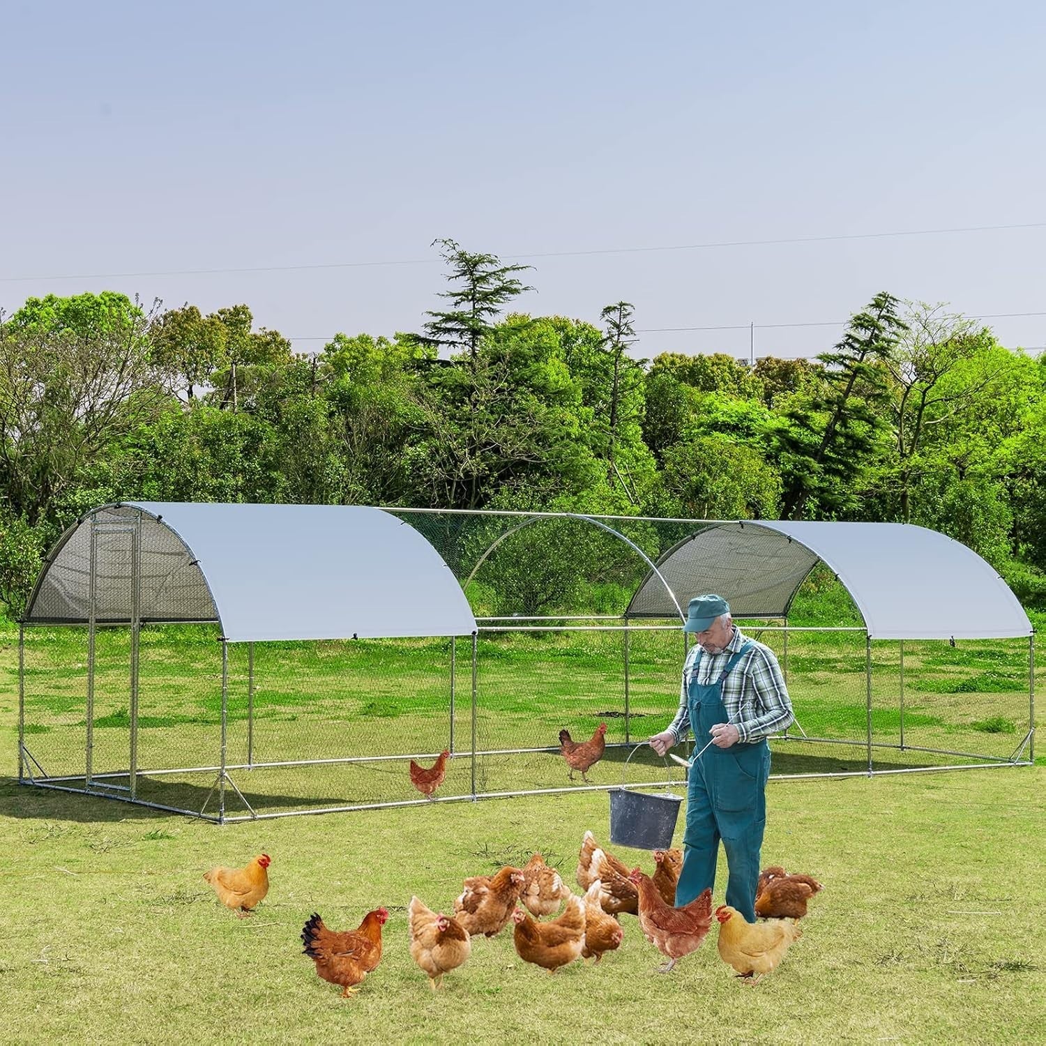 Extra Large Walk In Chicken Run 7.6x2.8m Galvanised Coop Cover