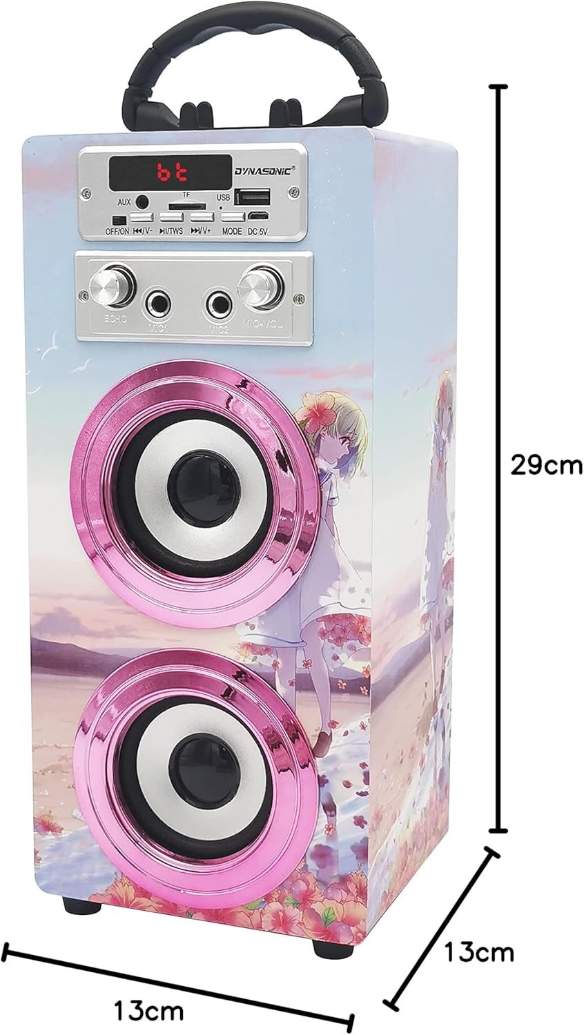 Portable Karaoke Machine Bluetooth 2 Mics LED Lights Kids Teens Fun