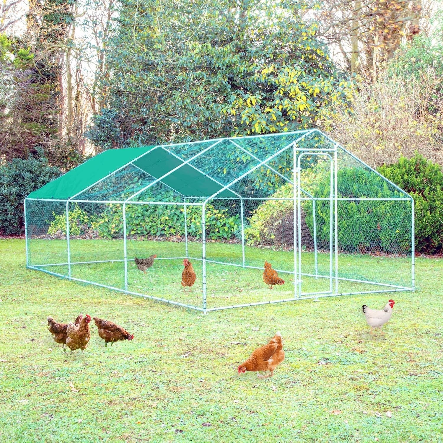 3x6m Walk In Chicken Run 25mm Steel Heavy Duty Coop
