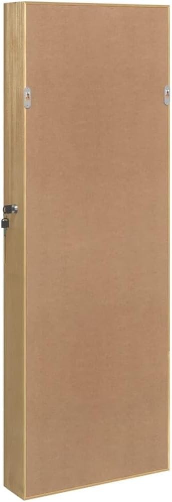 LED Wall Mounted Jewelry Cabinet Frameless Mirror Lockable Storage Brown