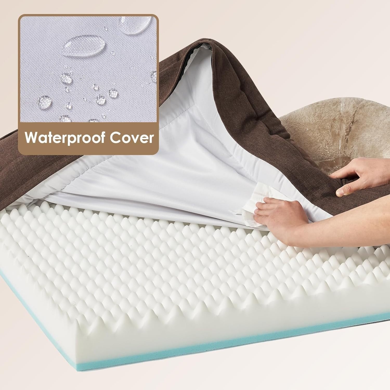 Orthopedic Memory Foam Dog Sofa Bed Medium Waterproof 76x51x16cm