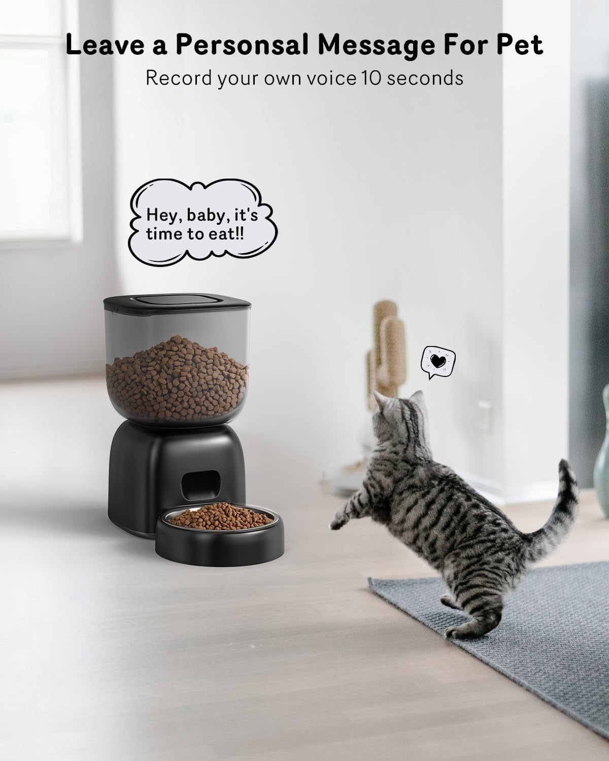 Automatic Cat Feeder 3L Timed Pet Food Dispenser Voice Recorder Battery