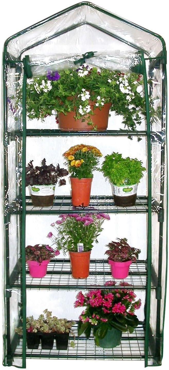 4 Tier Mini Greenhouse with PVC Cover | Compact Outdoor Plant Stand