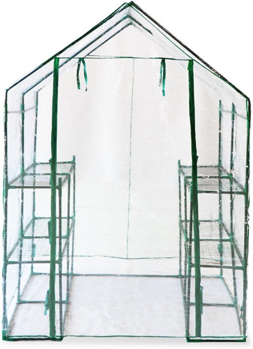 4x8 Walk-In Greenhouse Clear PVC Cover Steel Frame Roll-Up Door Plant Shelter