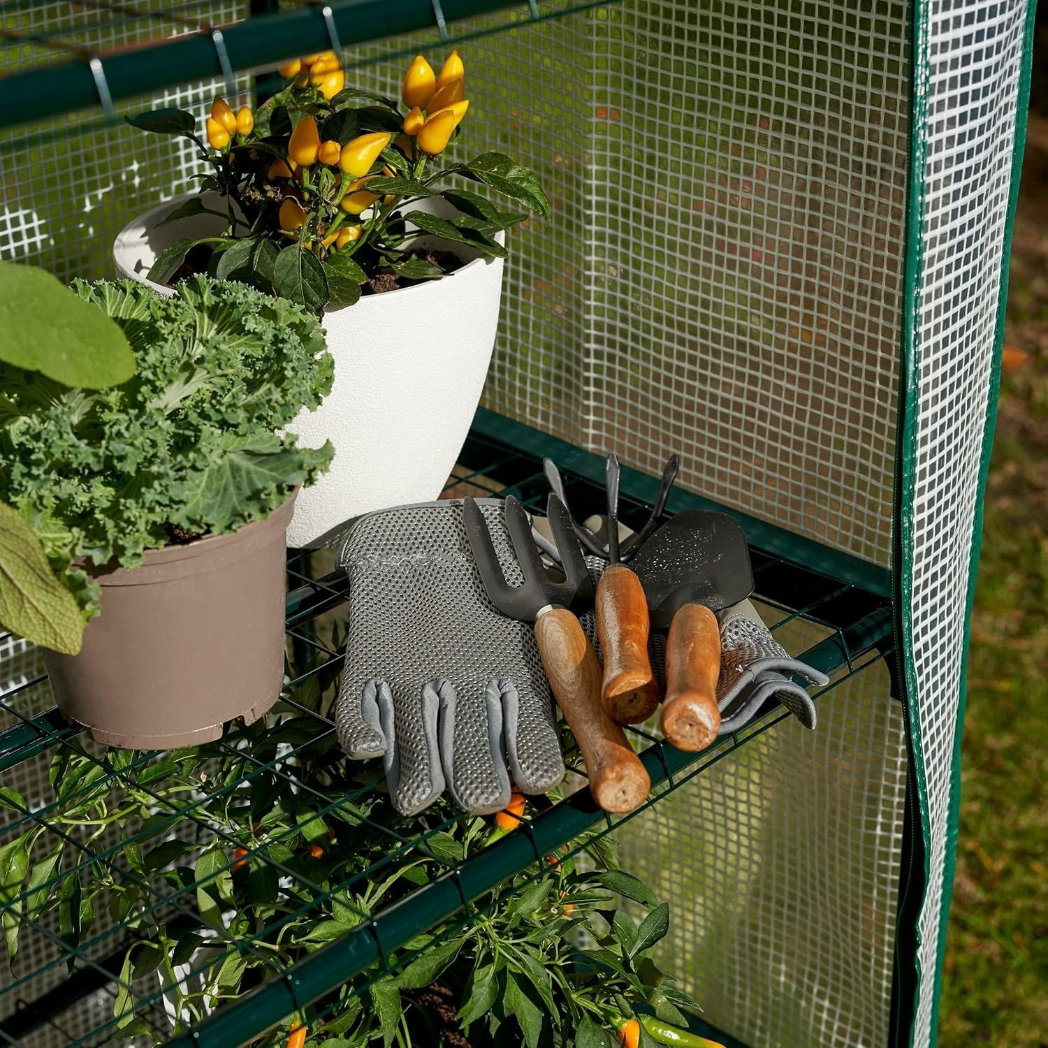 4 Tier Mini Greenhouse with Reinforced PVC Cover | Compact Steel Frame