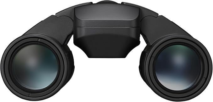 12x25 Image-Stabilised Compact Binoculars | Ultra Steady HD Long-Range View