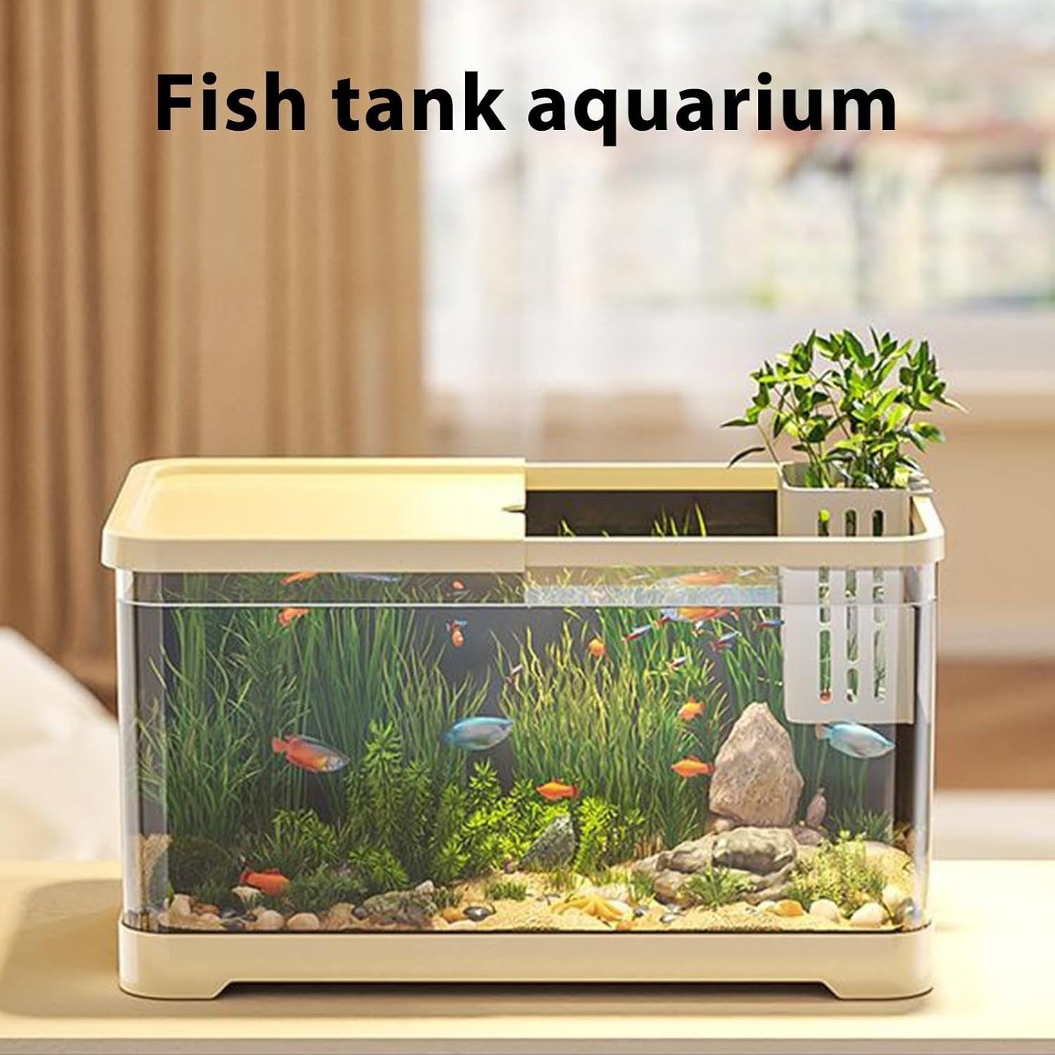 Small Betta Fish Tank Kit with Filter Syphon Clear Desktop Aquarium