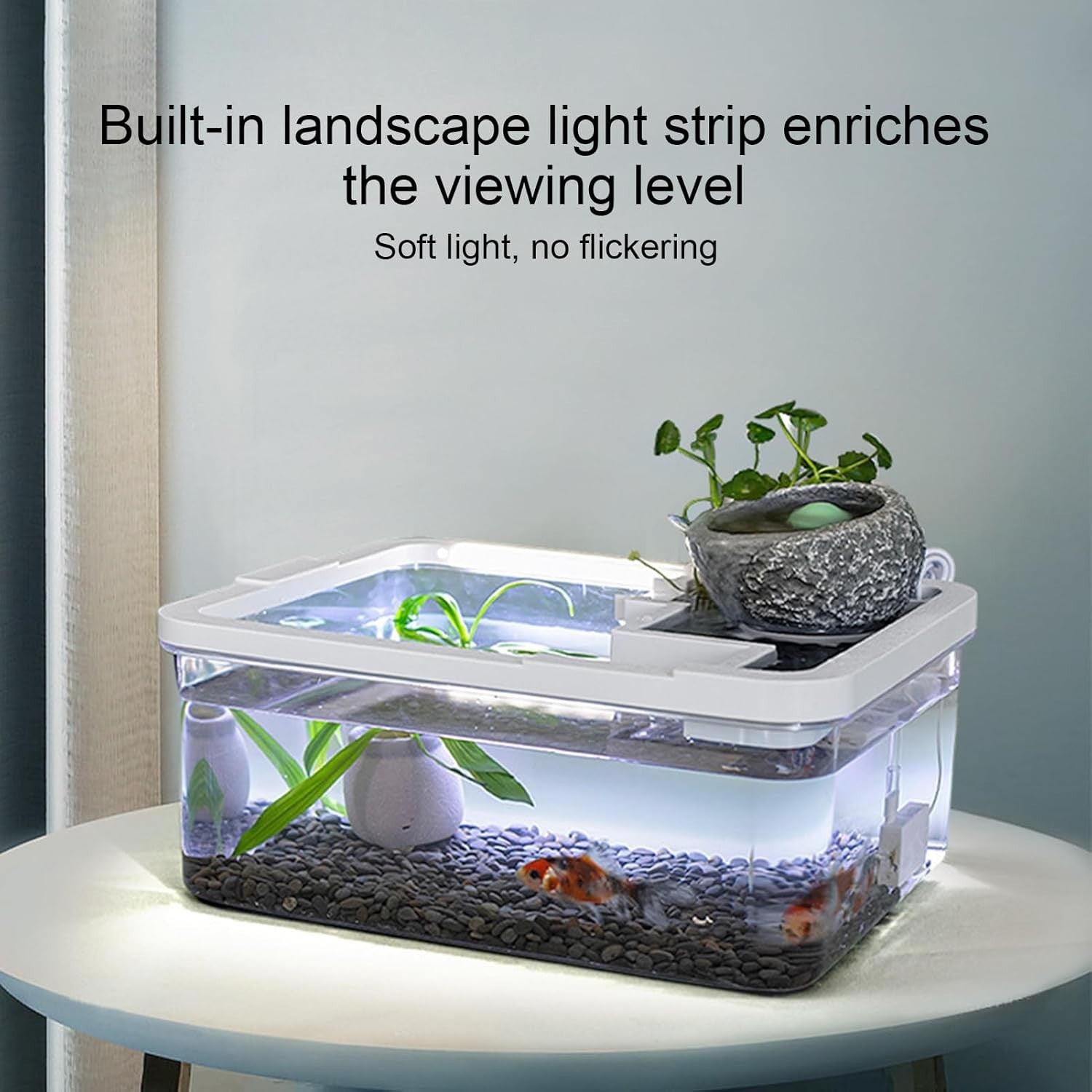 Small Desktop Fish Tank with Filter & LED Light for Shrimp, Jellyfish