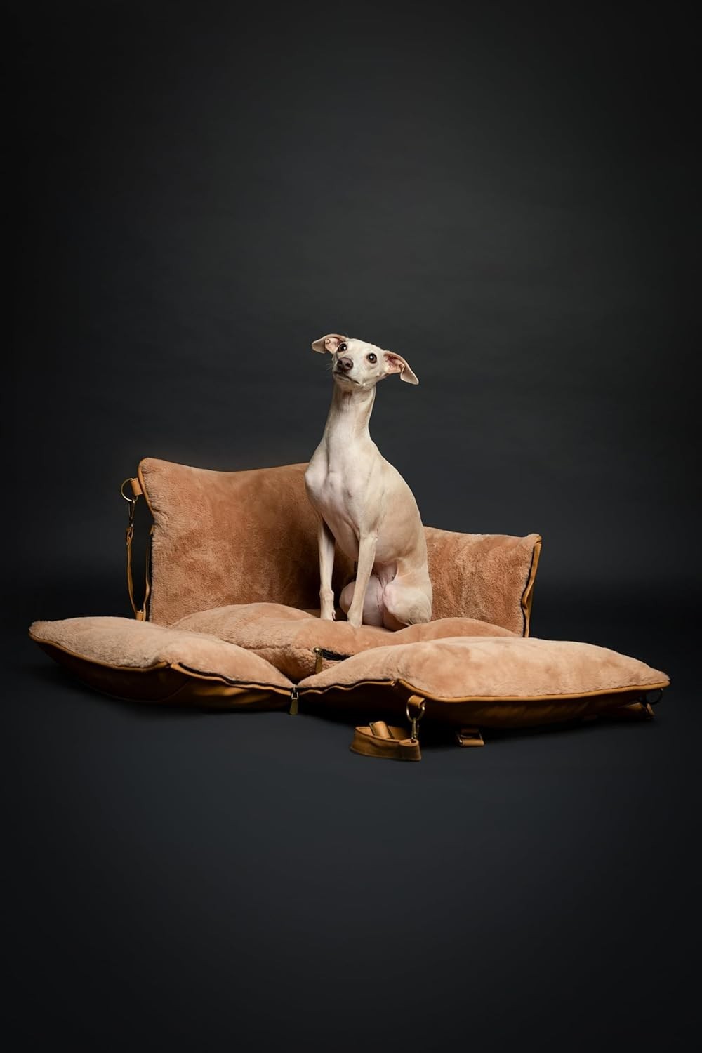 Luxury Dog Booster Car Seat Orthopedic Foam Washable Travel Bed