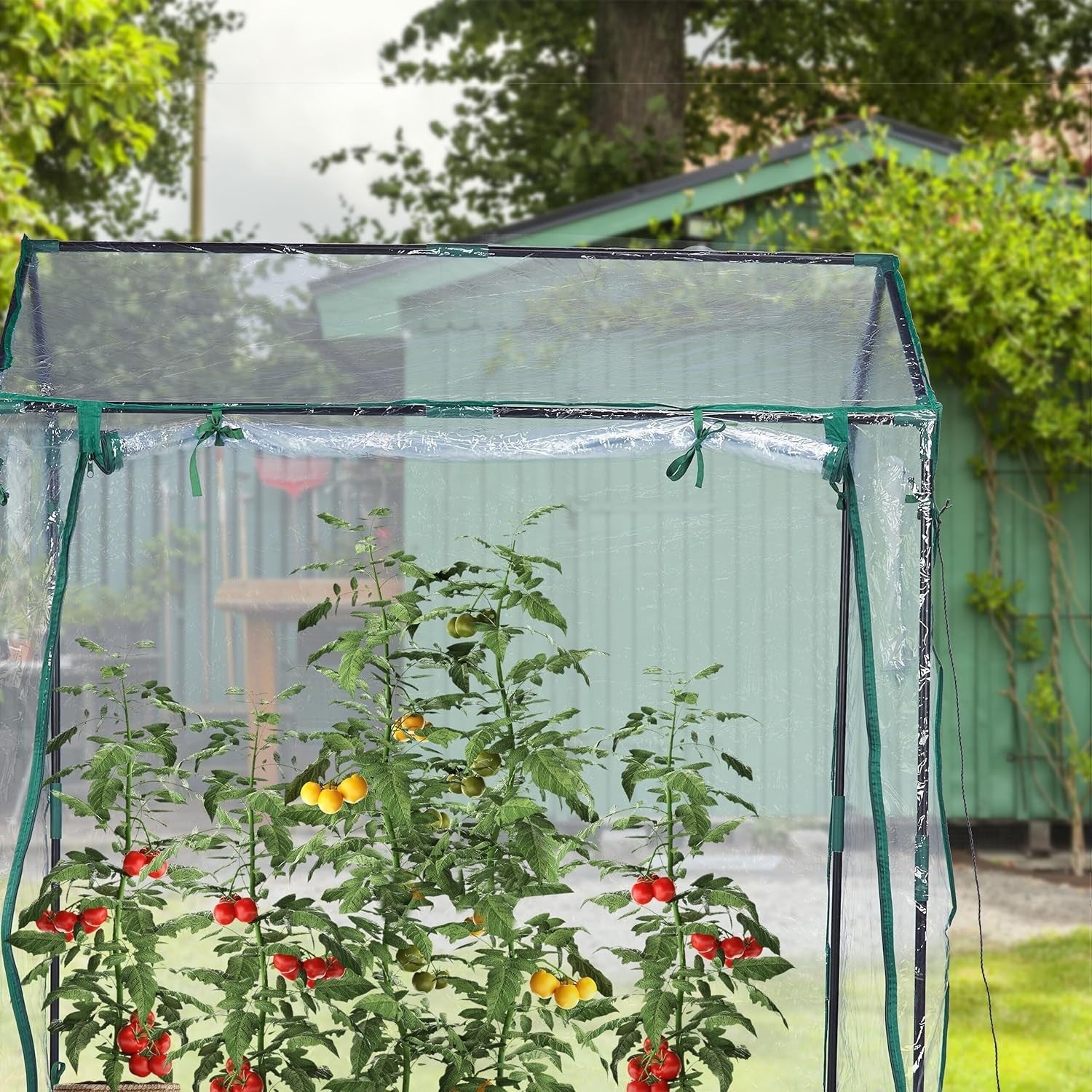 Walk-In Tomato Greenhouse Waterproof PVC Cover 152x132x92cm | UV-Resistant
