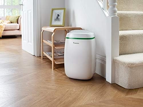 2 in 1 Dehumidifier Air Purifier HEPA Quiet Low Energy Flat Home