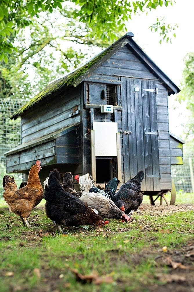 Automatic Chicken Coop Door Opener Extreme Aluminium