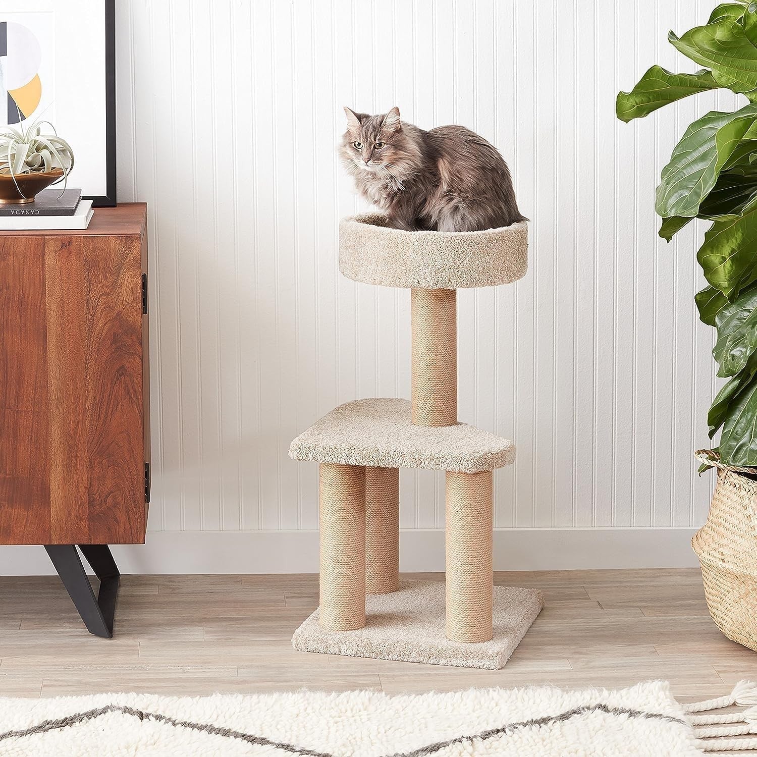 80cm Cat Tree Tower Scratching Posts with Top Bed Compact Indoor Cat Stand