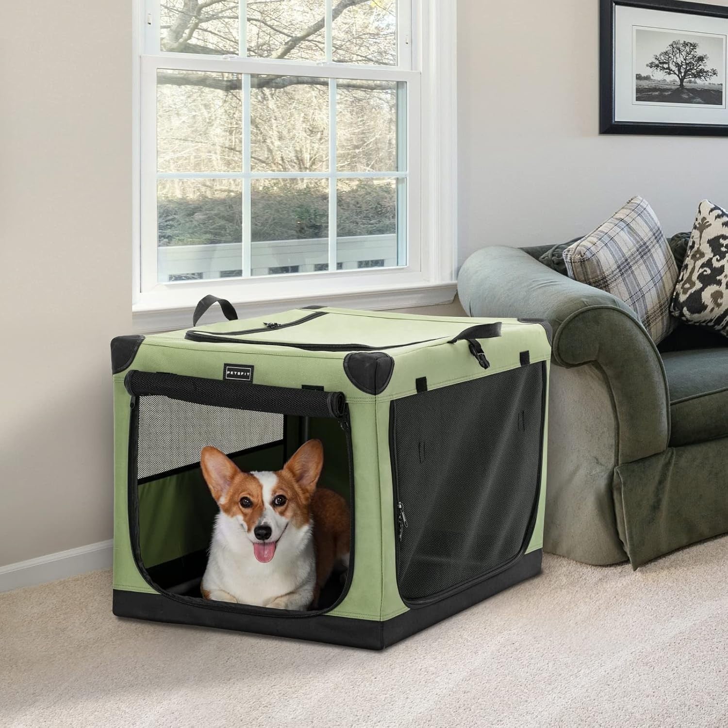 Petsfit Foldable Soft Dog Crate with Dual Lockable Doors, Travel-Ready