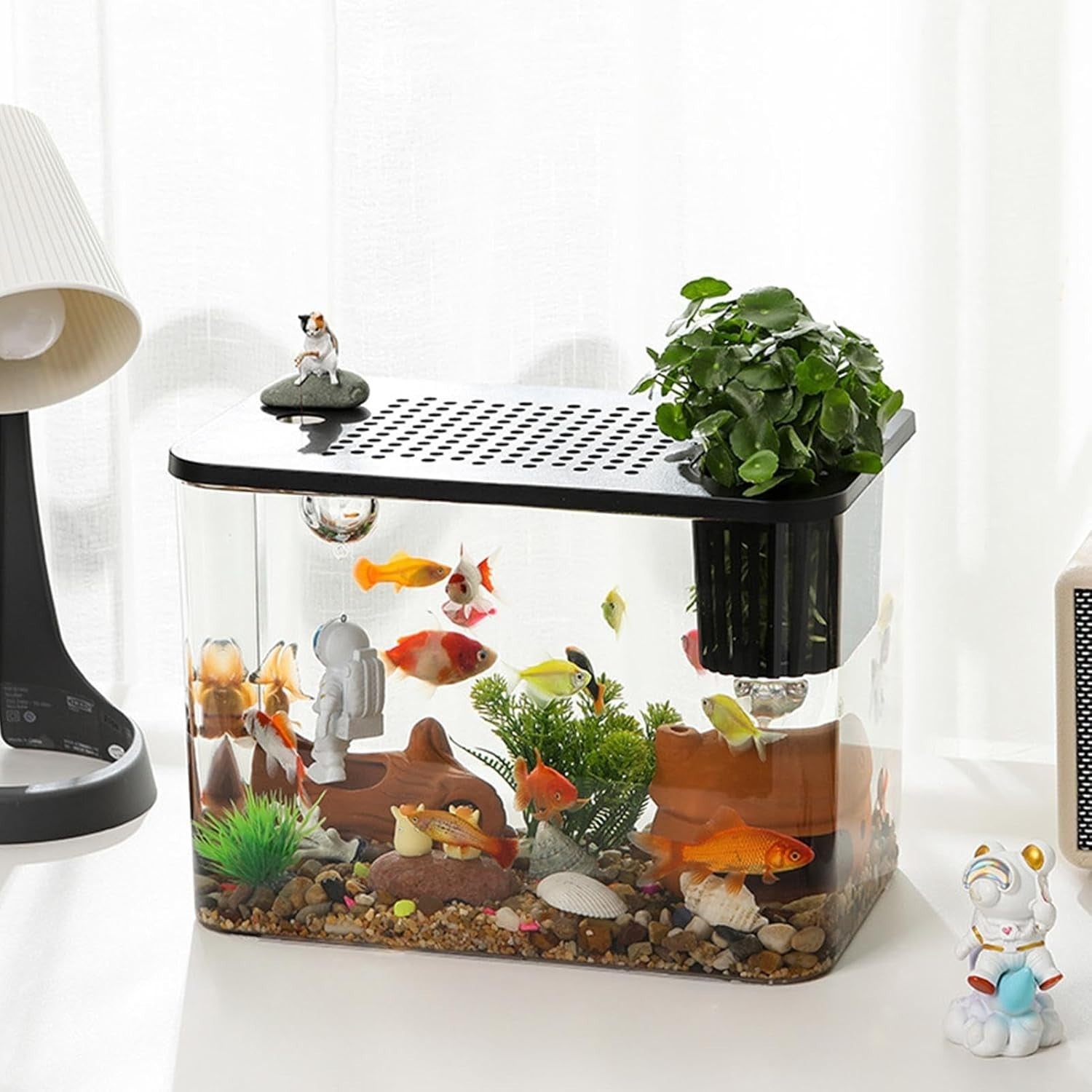 Desktop Betta Aquarium Tank | Small Turtle Fish Tank Kit for Home Office
