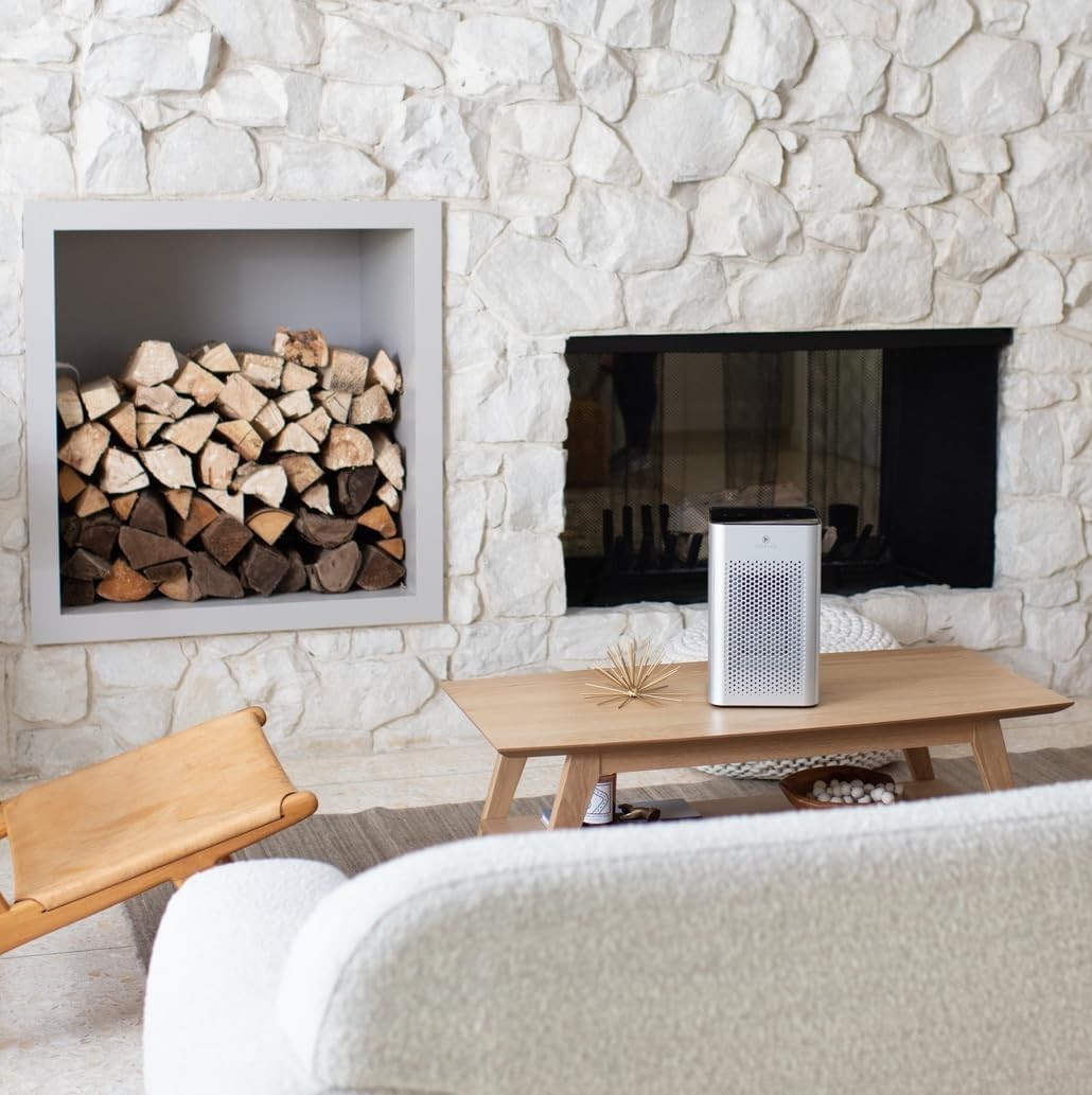 H13 HEPA Air Purifier 500ft² Dual Intake Quiet Night Mode Silver