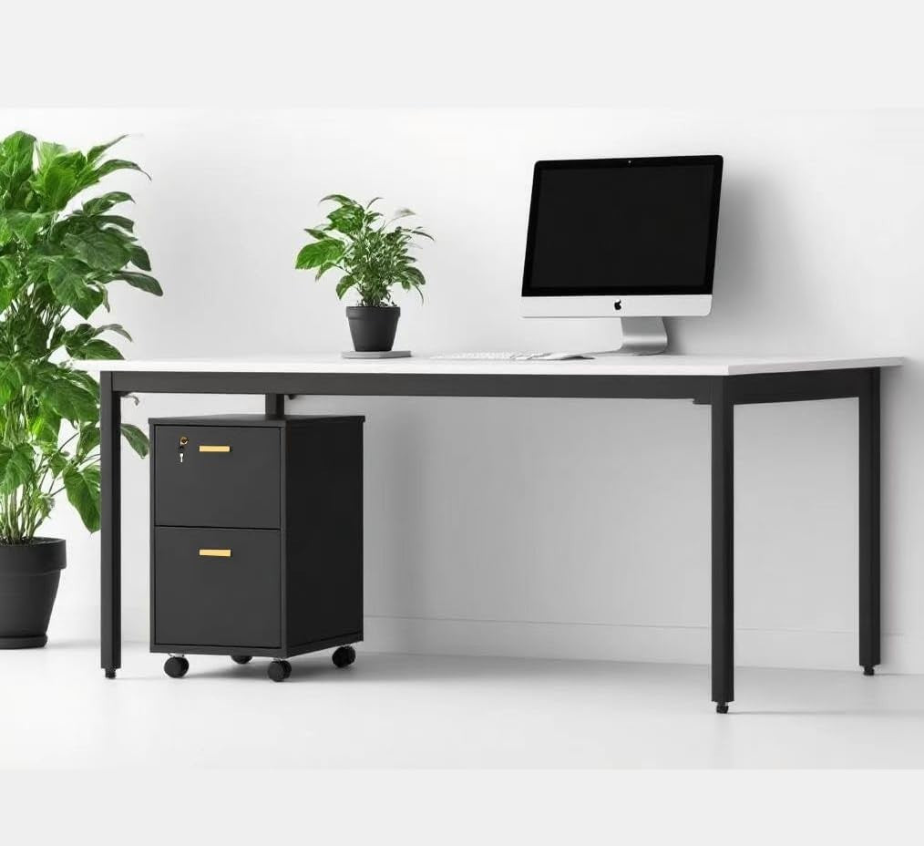 Black Locking 2 Drawer Rolling File Cabinet Vertical Under Desk Storage