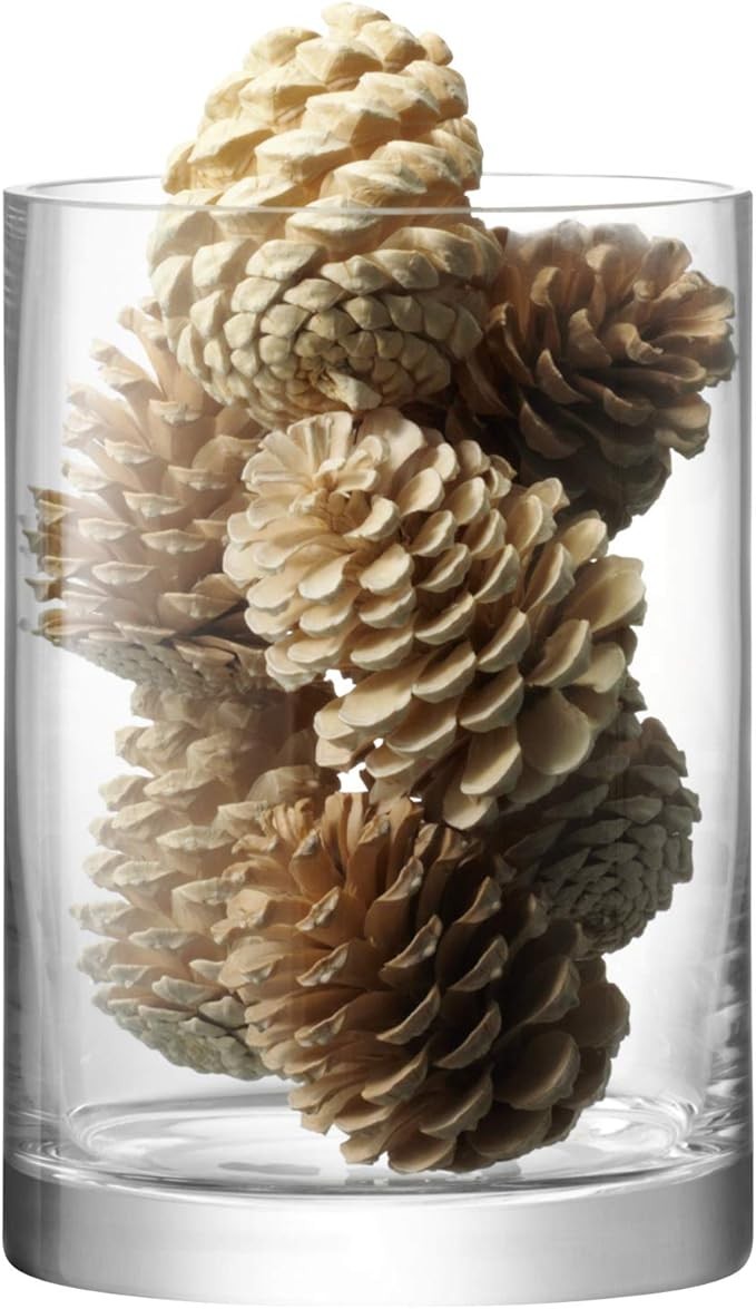 Clear Glass Cylinder Vase 24cm Tall Minimalist Flower Candle Holder Decor