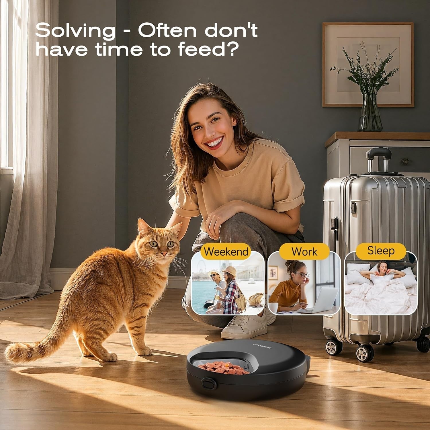 Automatic Wet Food Pet Feeder Timer Ice Pack Cordless 4 Meal Feeder