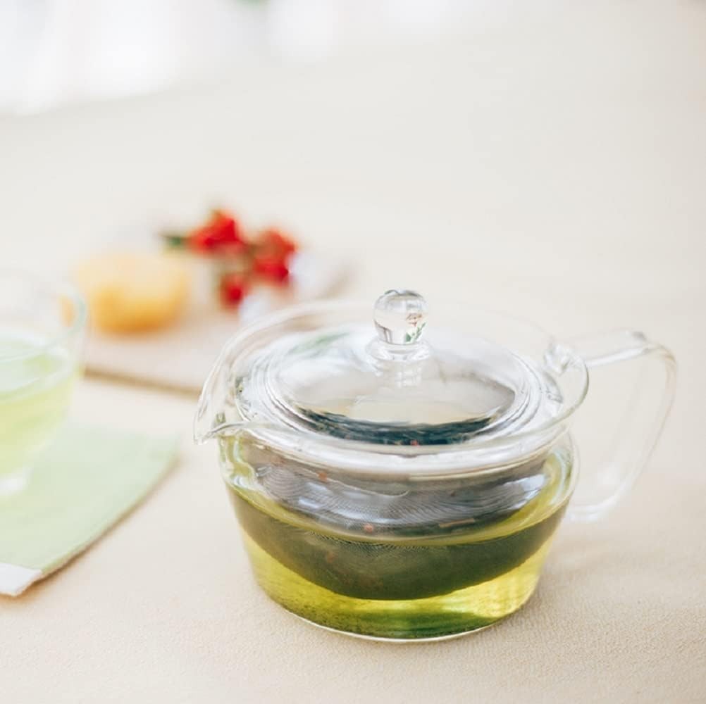 Glass Teapot 450ml with Stainless Steel Infuser Loose Leaf Tea Pot