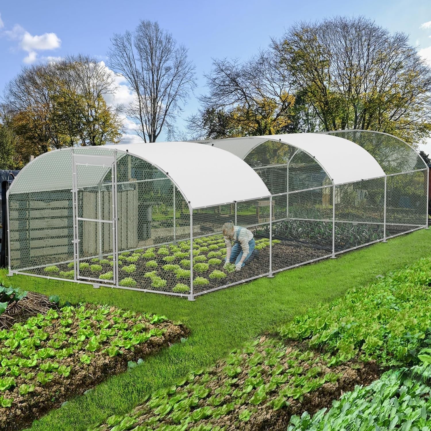 Extra Long Walk In Chicken Run Galvanised Steel Outdoor Enclosure 8x3x1.85m