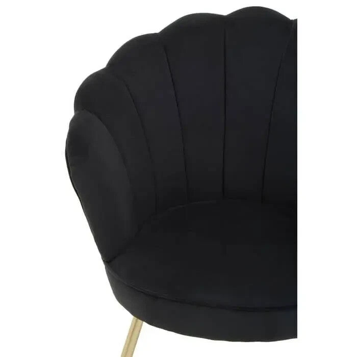 Black Velvet Shell Chair – Scalloped Accent Seat with Gold Metal Legs