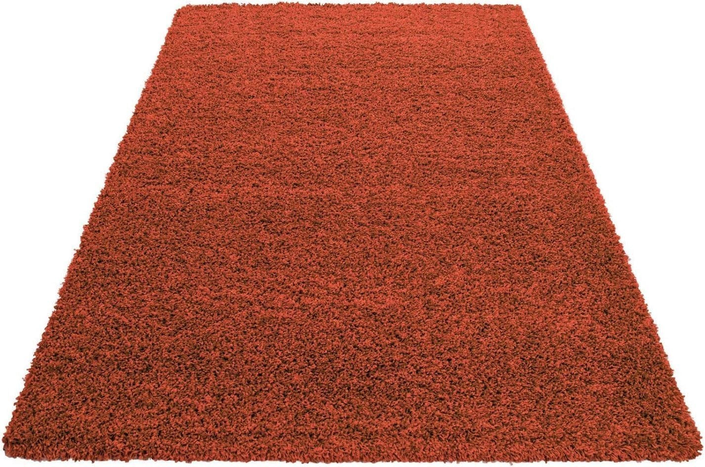 Extra Large Shaggy Rug 160x230cm 5cm Thick Soft High Pile Terracotta Carpet