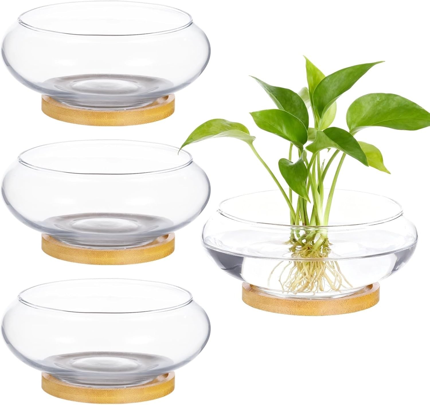 4pc Glass Bowl Vase Set with Wooden Base – Modern Table Centrepiece Decor