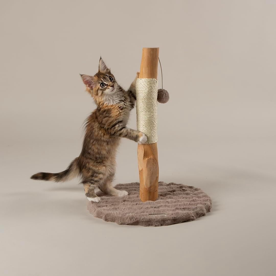 Kitten Cat Scratching Post Tree Compact Sisal Scratch Toy Indoor Small Cats