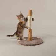 Kitten Cat Scratching Post Tree Compact Sisal Scratch Toy Indoor Small Cats