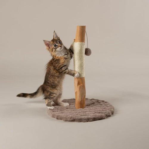 Kitten Cat Scratching Post Tree Compact Sisal Scratch Toy Indoor Small Cats