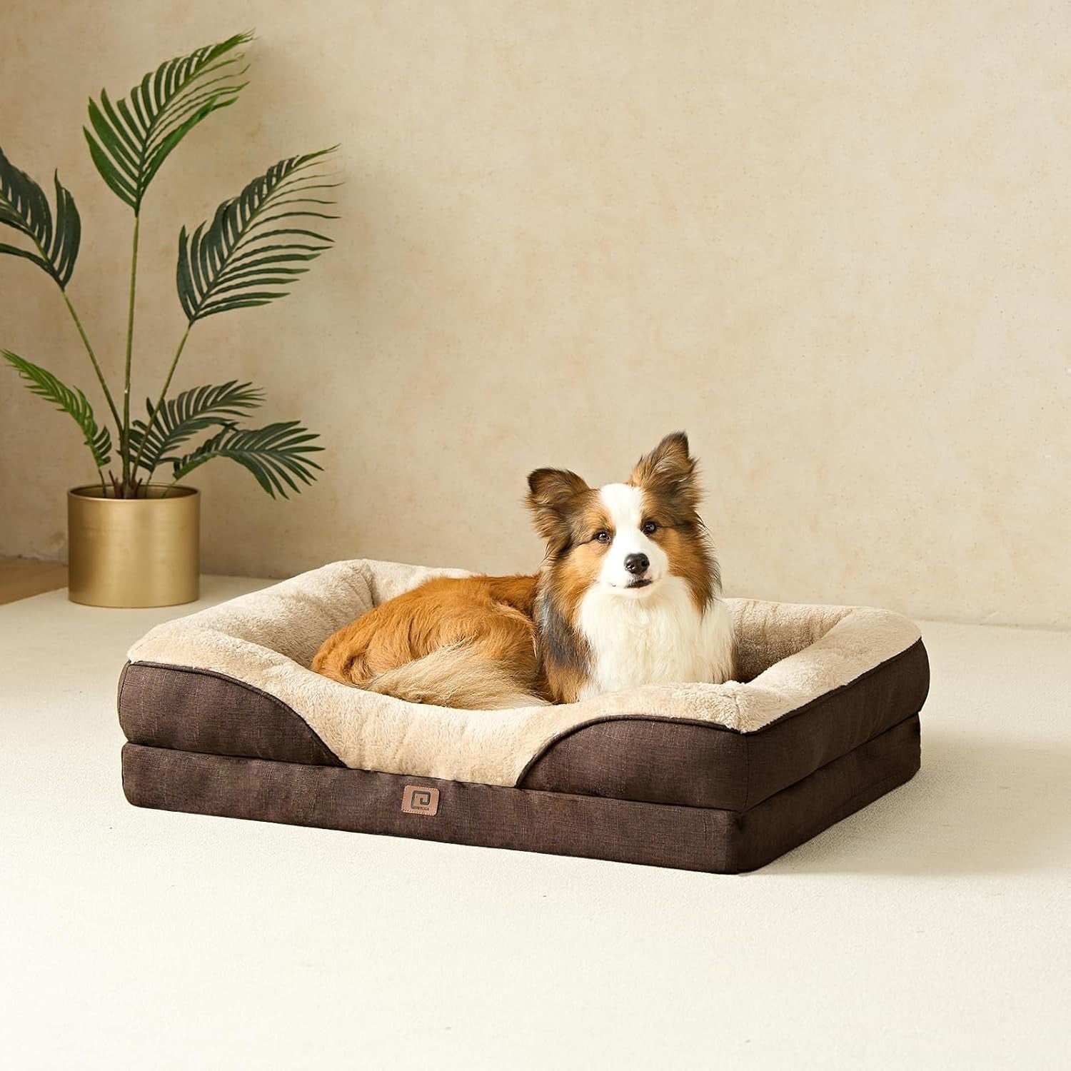 Orthopedic Memory Foam Dog Sofa Bed Medium Waterproof 76x51x16cm