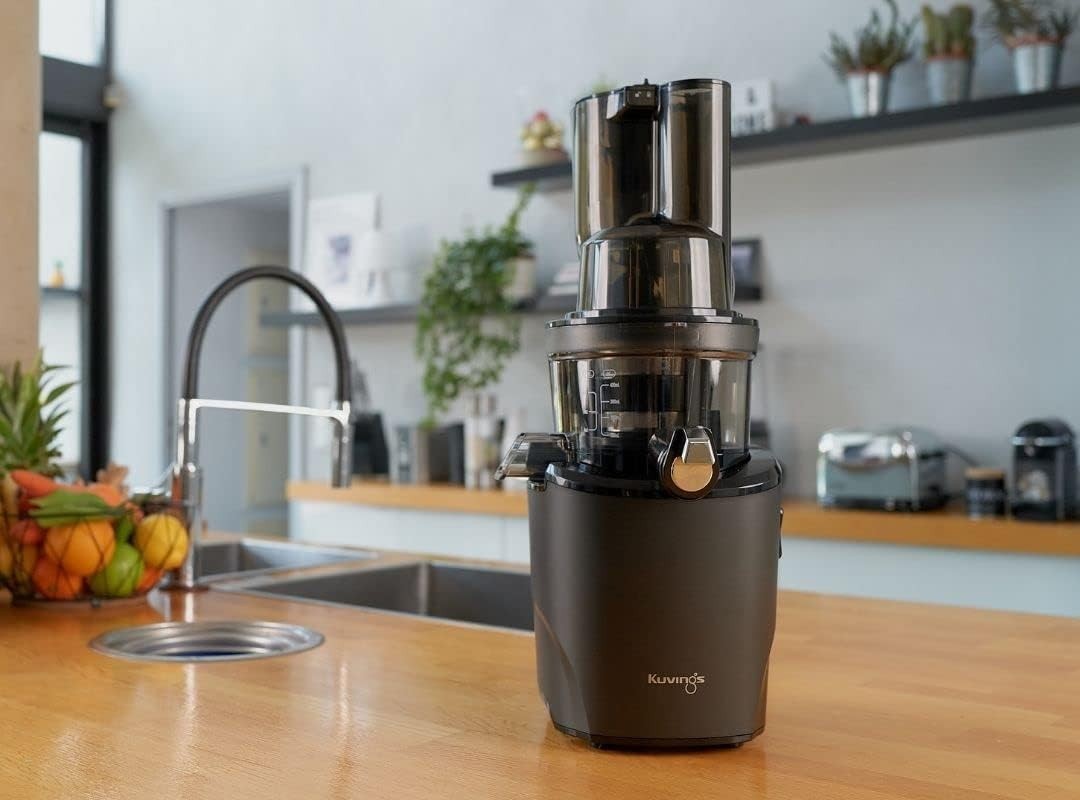 Cold Press Slow Juicer Auto Cutting Wide Dual Feed Chute BPA Free