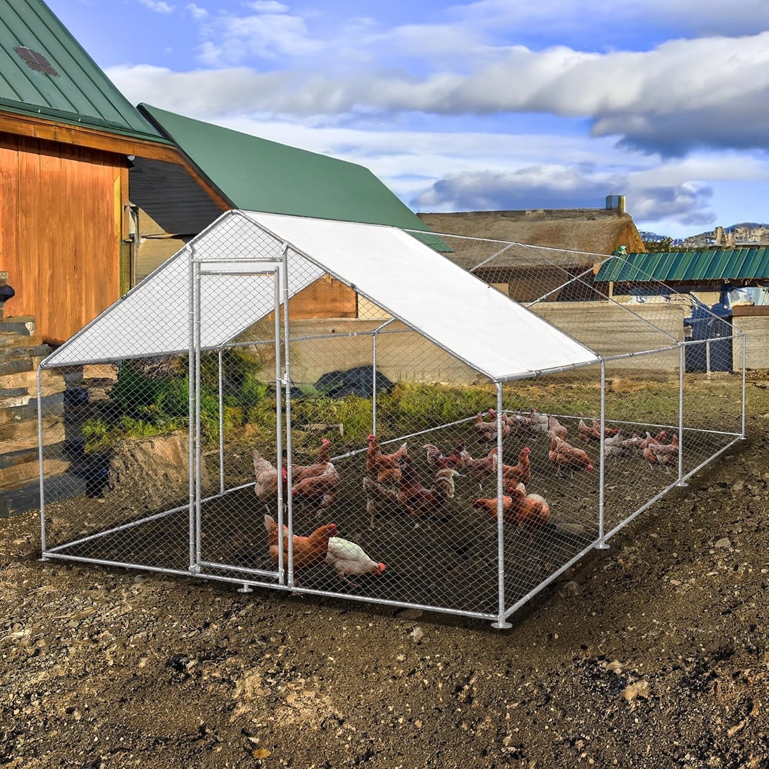 Walk In Chicken Run 6x4x2m Galvanised Steel Coop Pen