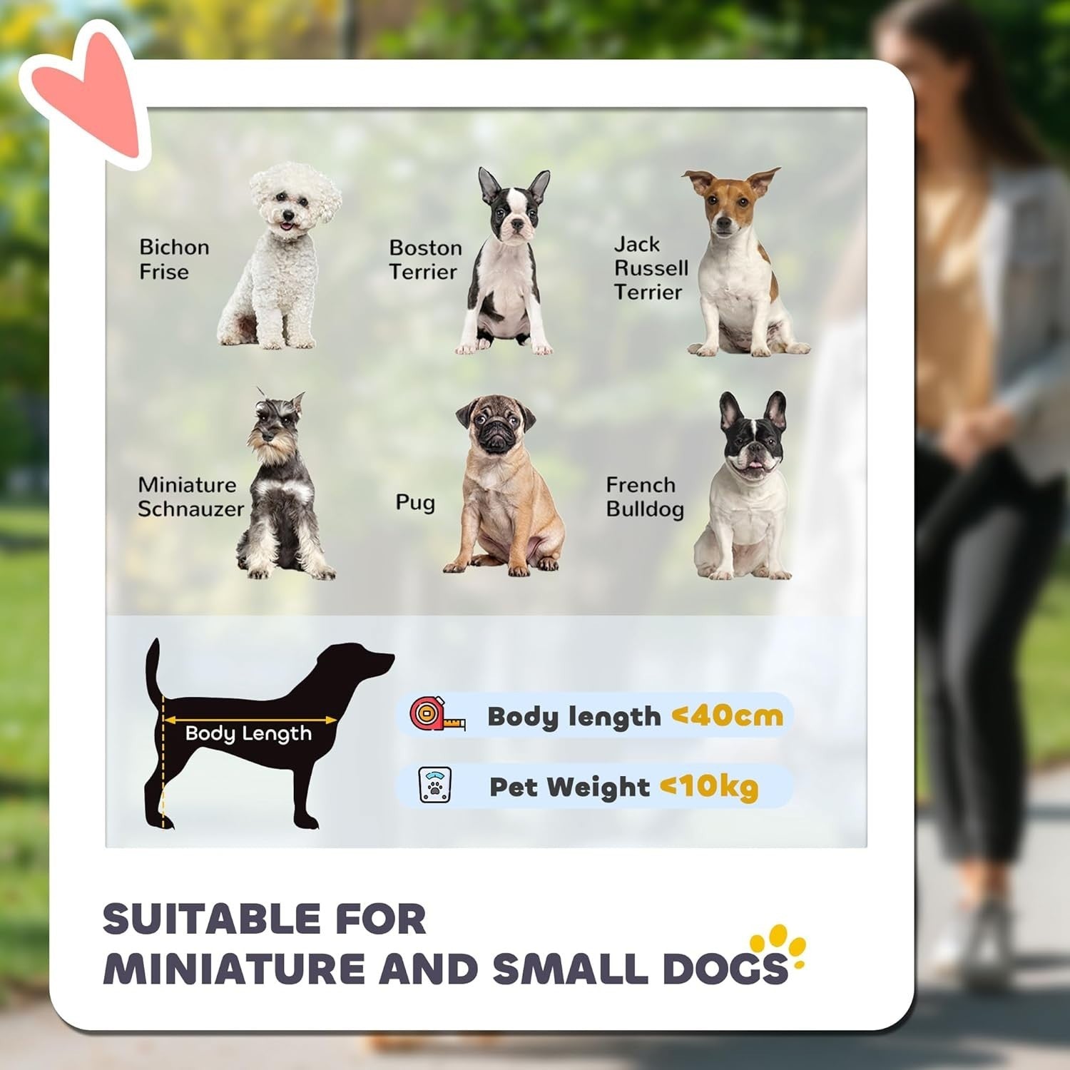 Dog Stroller Grey Detachable Carrier Pet Pram Small Dogs Safety Leashes