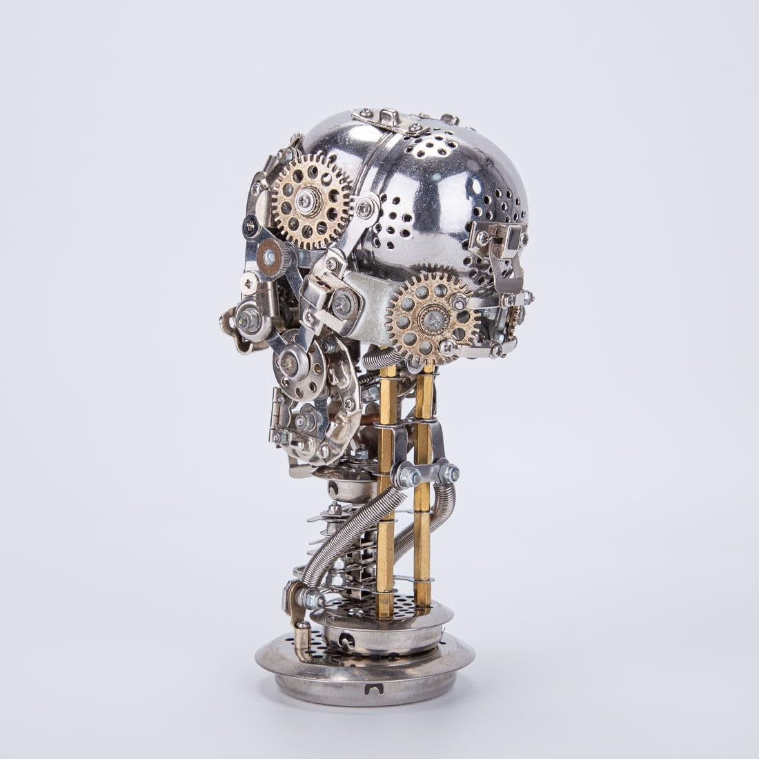 3D Metal Skeleton Puzzle Kit 200PCS DIY Anatomical Model Decor