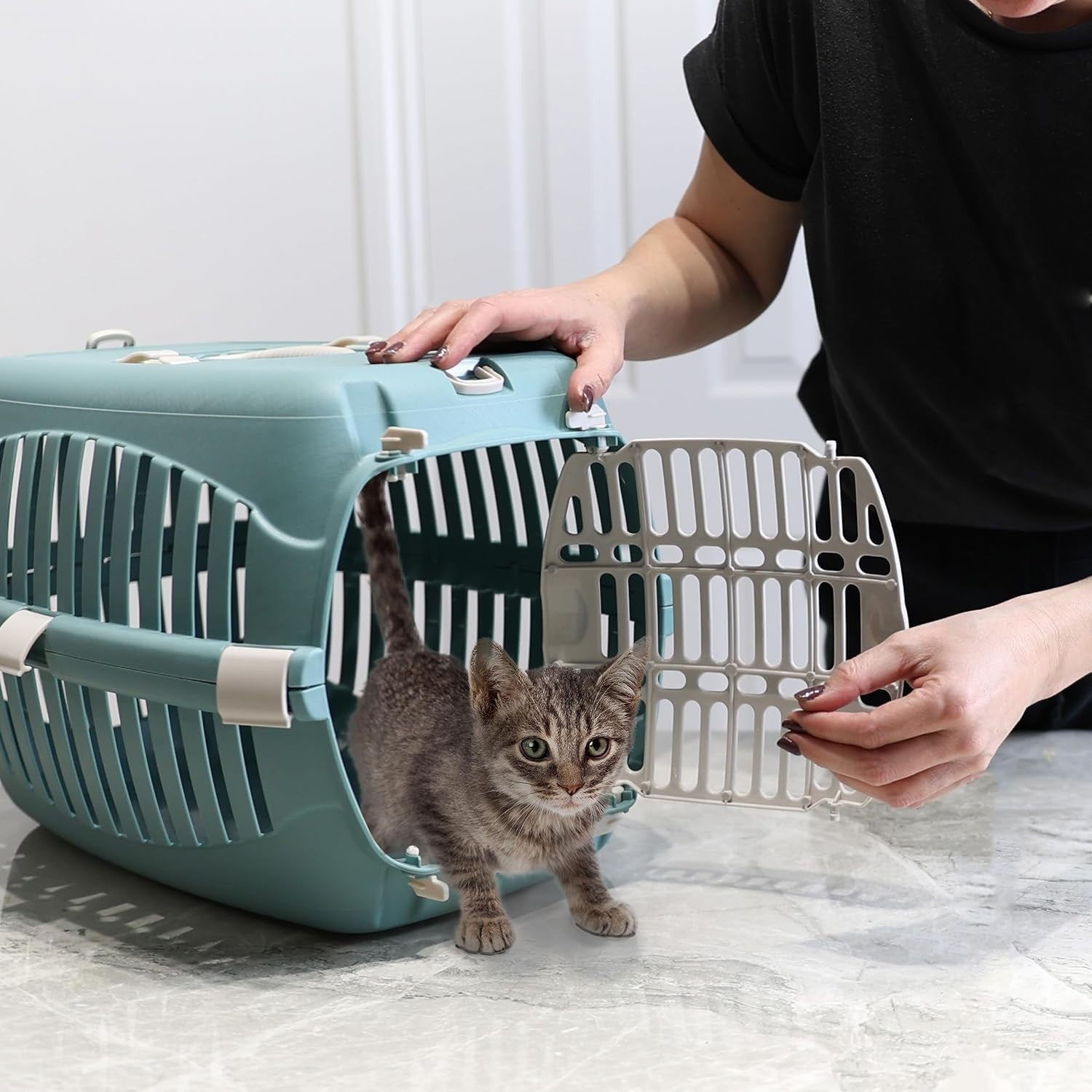 Cat Carrier Box for Travel – Secure Dual Door Crate for Cats & Small Dogs