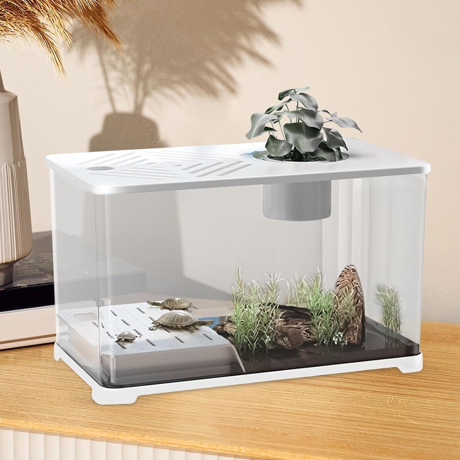 10G Fish Tank Kit | Large Aquarium w/ Turtle Resting Area & Plants