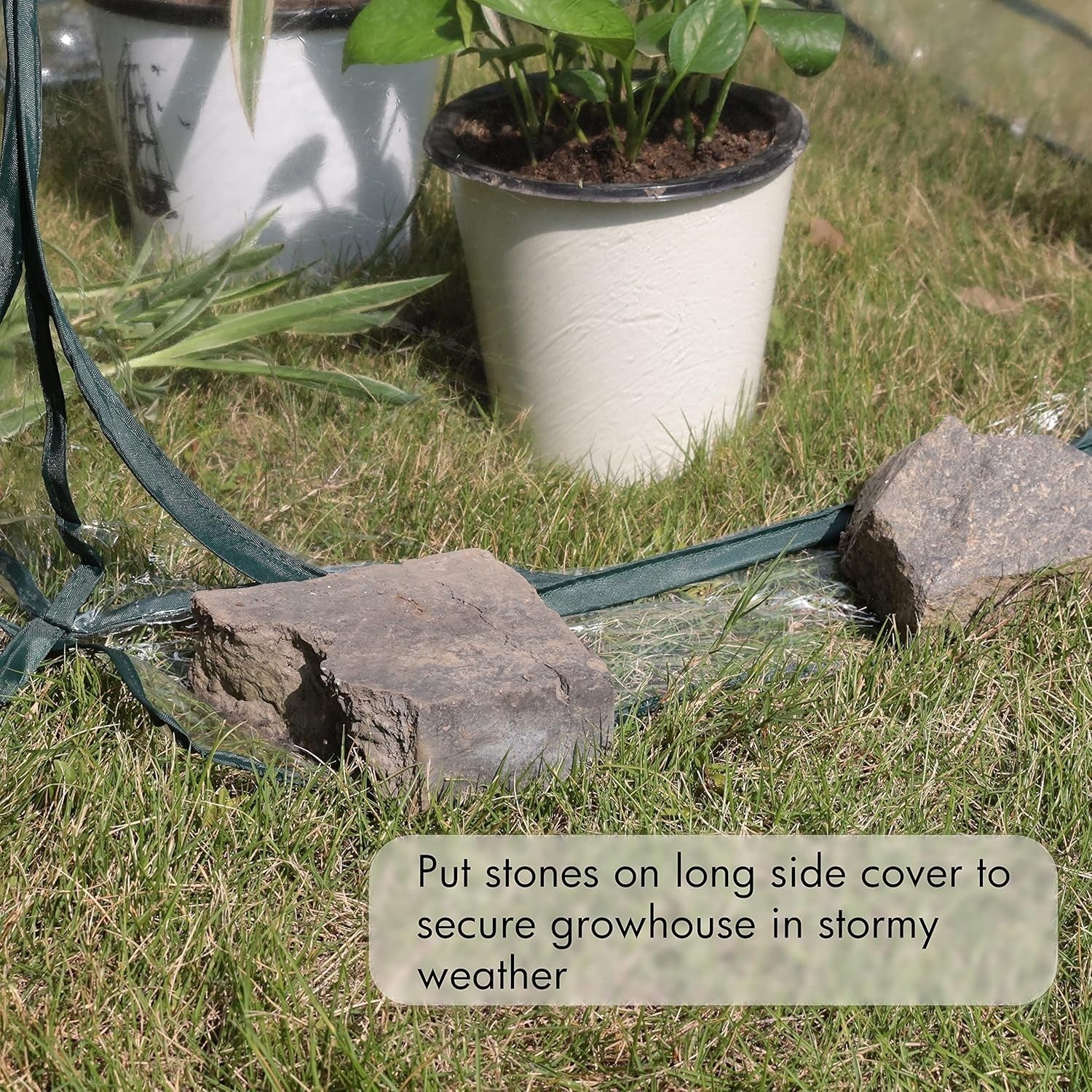 Portable Pop-Up Mini Greenhouse Waterproof UV Protected Plant Shelter