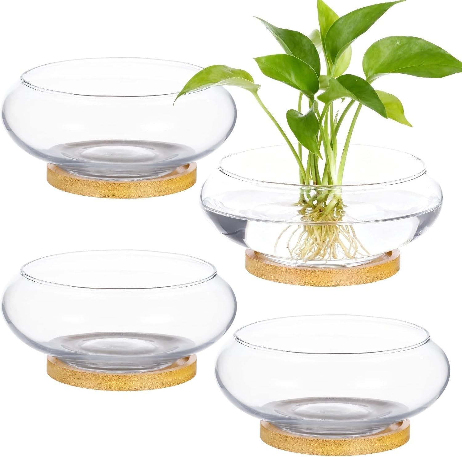4pc Glass Bowl Vase Set with Wooden Base – Modern Table Centrepiece Decor