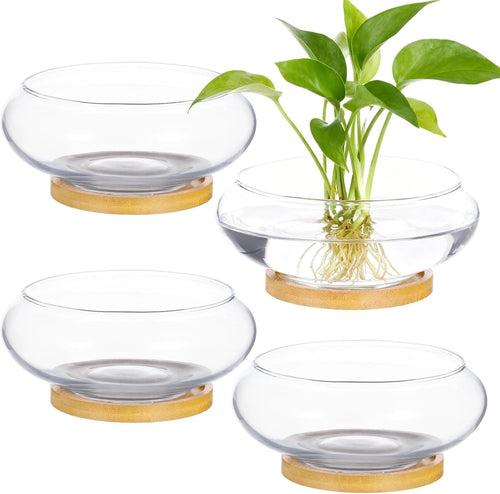 4pc Glass Bowl Vase Set with Wooden Base – Modern Table Centrepiece Decor