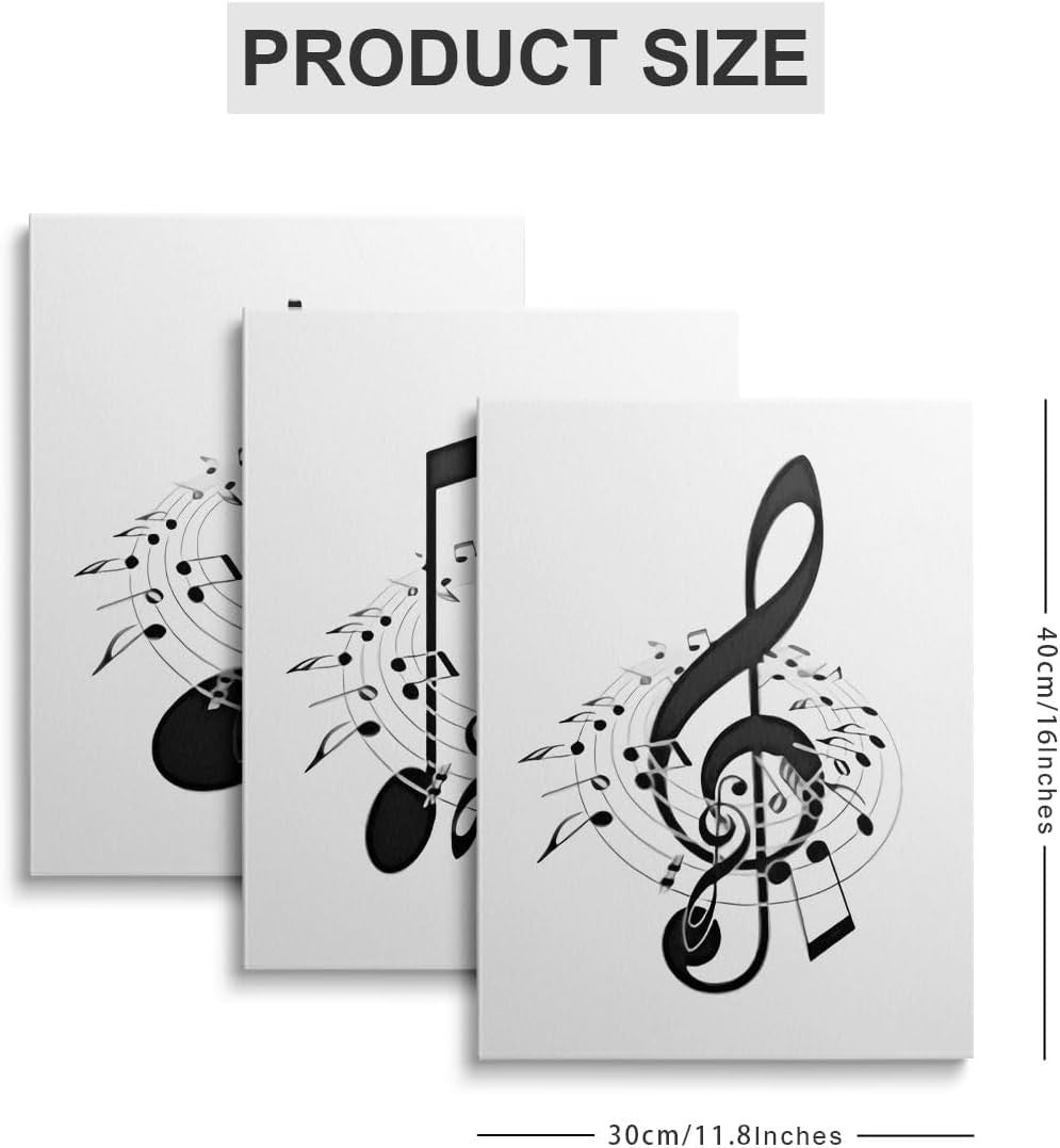 Black White Music Wall Art Set of 3 Framed Canvas 30x40cm Prints