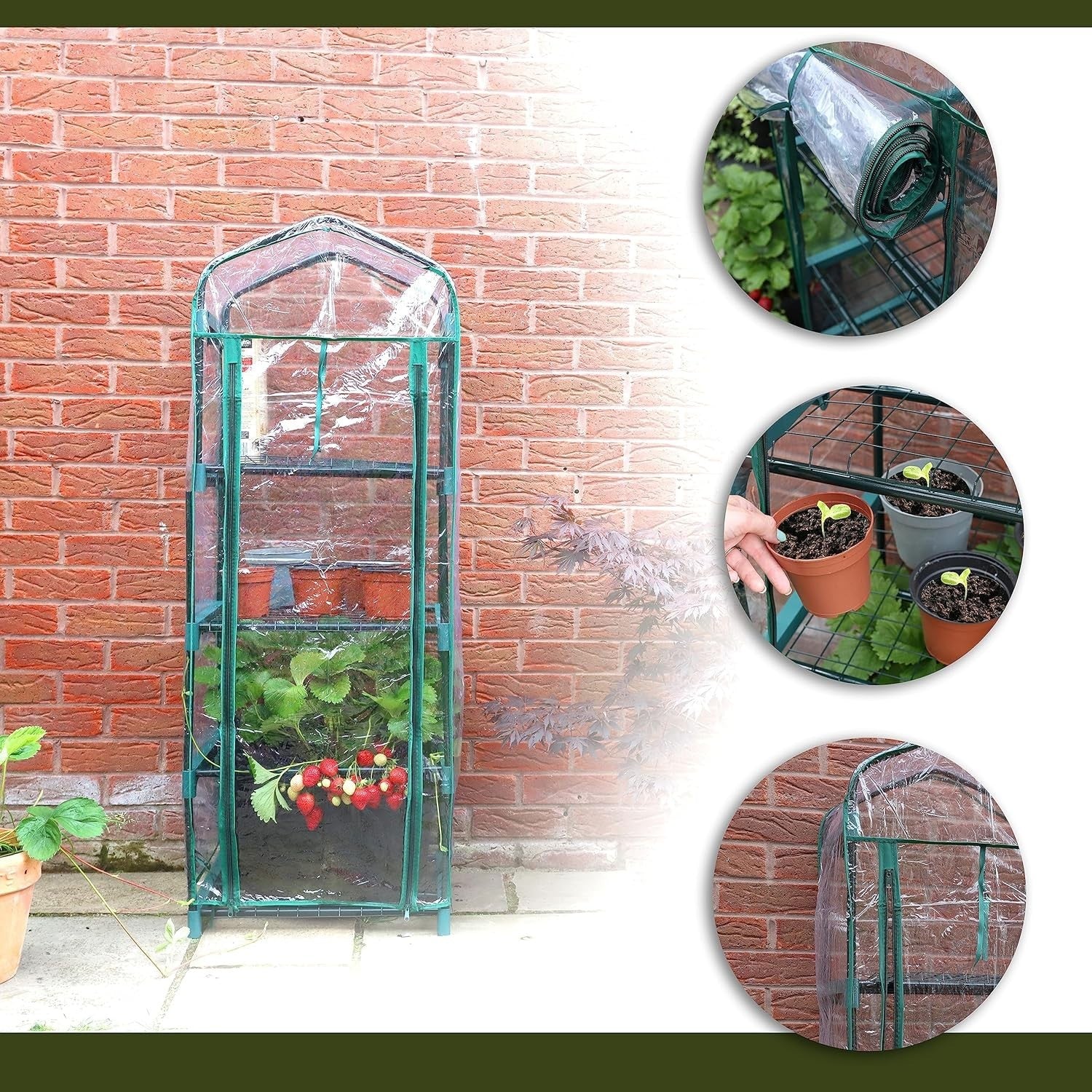 4 Tier Mini Greenhouse with Clear PVC Cover | Heavy Duty Steel Frame | Compact
