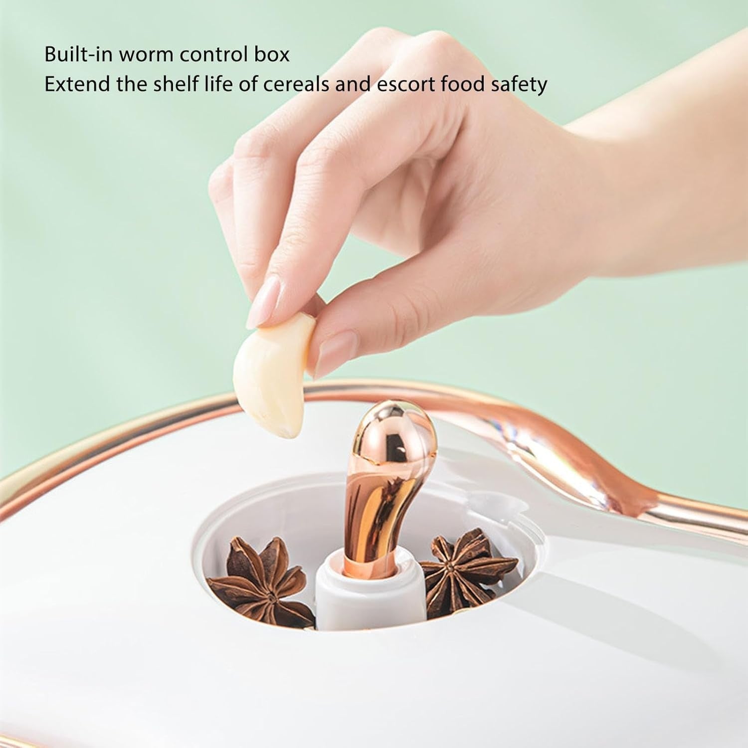 10KG Airtight Rice Dispenser Transparent Grain Storage Container