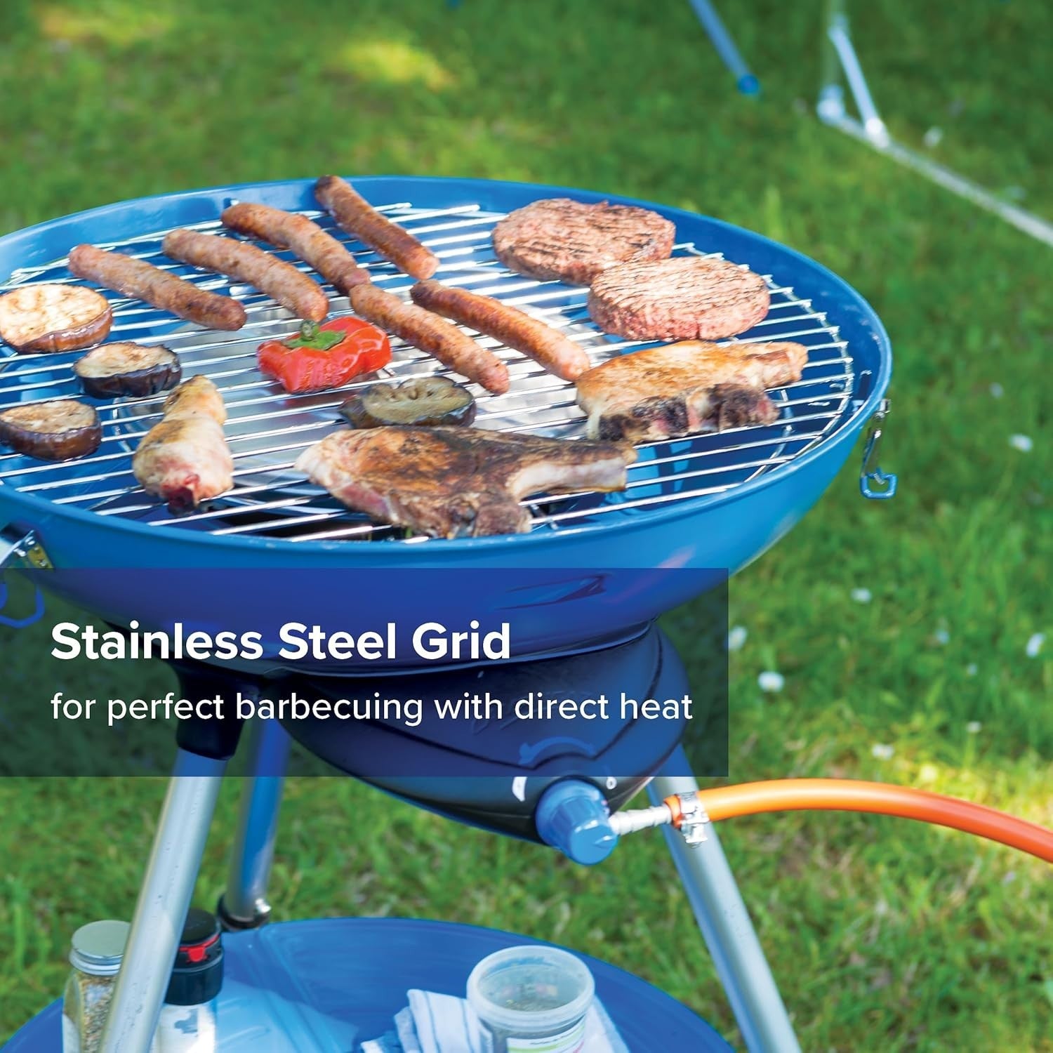 Portable Gas Party Grill 600 Outdoor Camping BBQ Stove Cooker Multi-Use Blue