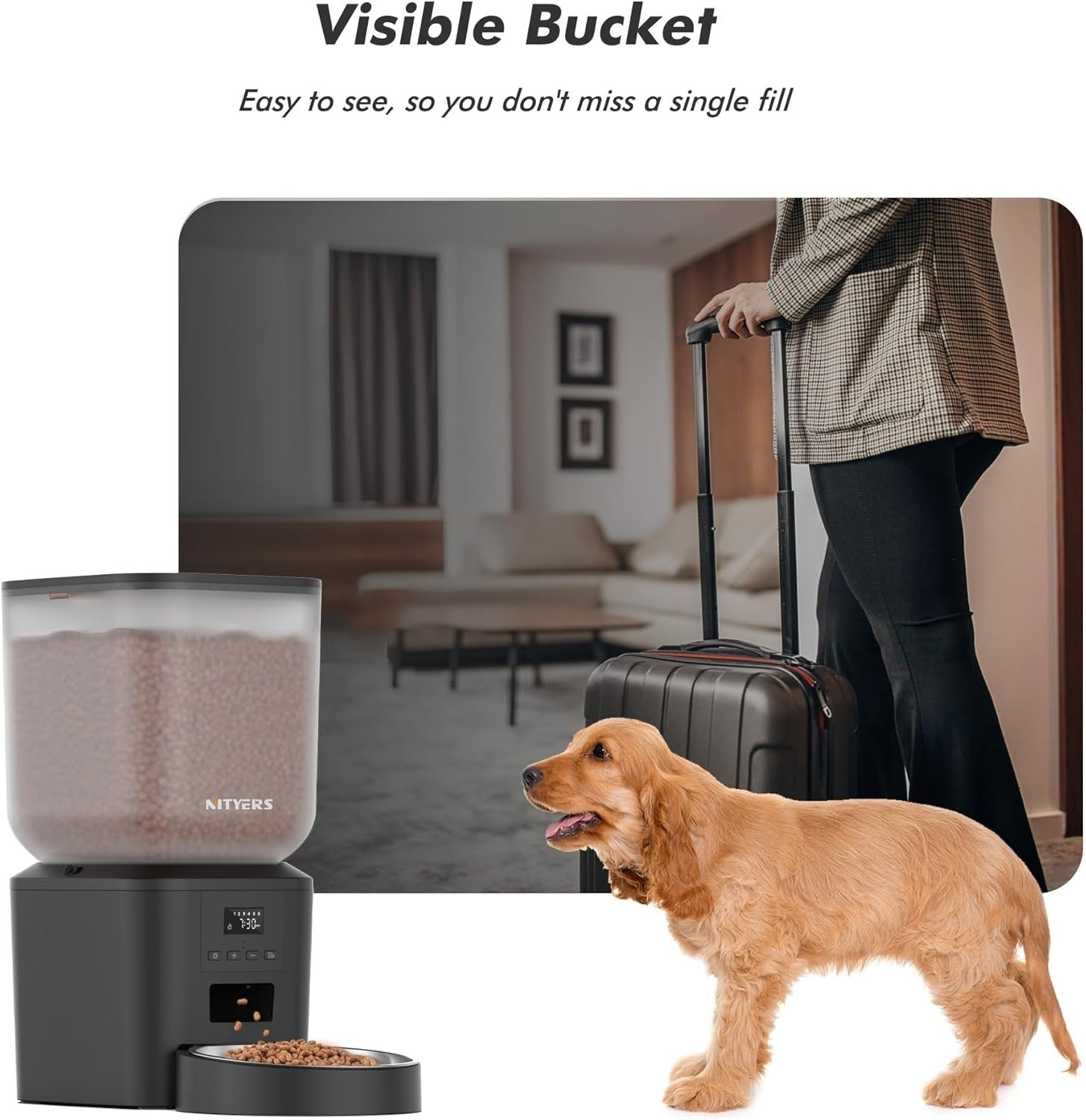 8L Automatic Cat Feeder Timed Pet Food Dispenser 1-6 Meals Voice Record