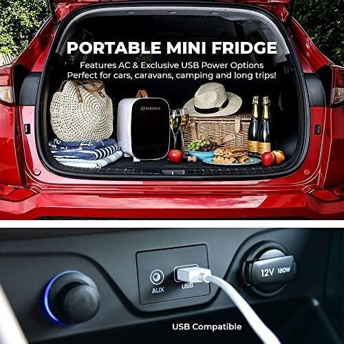 6L Mini Fridge Cooler USB & AC Portable for Bedroom Car Office