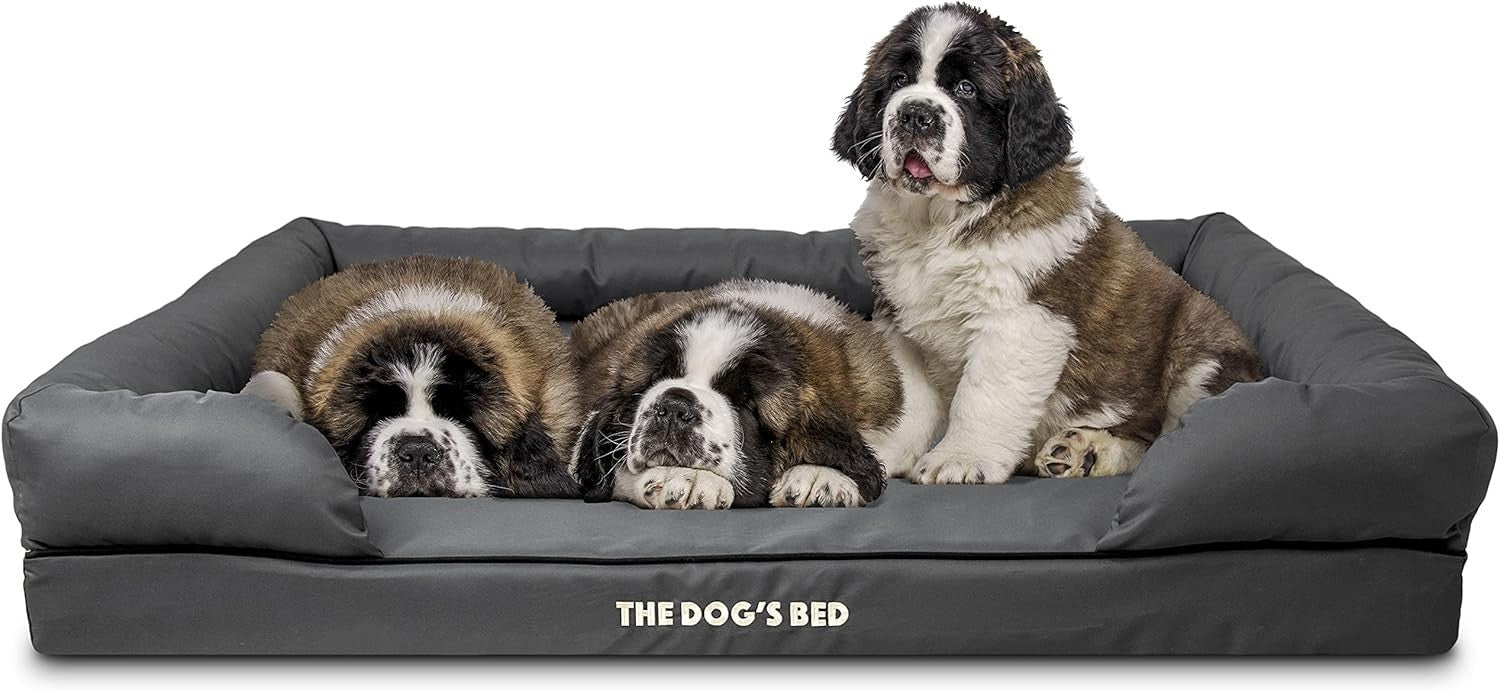 XXL Orthopedic Memory Foam Dog Bed Washable Bolster