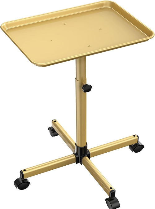 Salon Tray Cart Adjustable Height Rolling Tattoo Spa Trolley with Wheels